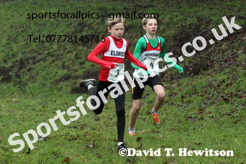 Boys under-13s, NECAA Junior Cross Country Relays, Thornley Farm, Peterlee, Saturday, December 12th. Photo: David T. Hewitson/Sports for All Pics